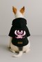 Printed Dog and Cat Clothing & Dress with Fleece Inside - Black Color K Hooded Hoodie B2Bf2 - 2