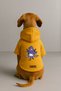 Printed Dog and Cat Clothing & Dress with Fleece Inside - Yellow Color K Hooded Hoodie B589A - 2