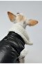 Zippered Fur Leather Dog Outfit Black Small - 5