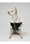 Zippered Fur Leather Dog Outfit Black Small