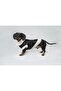 Zippered Fur Leather Dog Outfit Black Small - 7