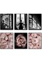 ALAYRA Romantic Roses Fashion Wall Art Prints Set of 6 Black and White Pink Minimalist Wall Art Canvas Painting Posters Prints Poster Set for Living Room Bedroom Home Decor30X40 CM