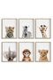 ALAYRA Baby Animal Posters and Prints - ART YMX016 - Baby Nursery Decor Pictures Set of 6 (Unframed) Cute Animal Photography Wall Prints for Baby Boys & Girls Room YMX016 (())20X25 CM