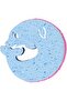 Dolphin-Shaped Multi-Function Scrub Sponges – Pack of 6 - 2