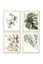 ALAYRA Botanical Print Leaves Wall Art Canvas Prints Plant Poster for Bedroom Living Room Wall Decor Gold and Green Leaves Unframed Set of 430X40 CM