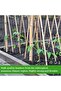 Bamboo Sticks for Plants - 150 Cm, 5 Pcs - 6