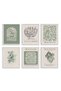 ALAYRA Matisse Wall Art Prints, Sage Green Retro Art Posters, Abstract Master Prints for Bedroom Wall Decor Aesthetic, Set of 6, , Unframed20X25 CM