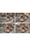 Koala Sleeping Companion 25cm Musical Breathing Baby Plush Toy with Movable Chest - 3