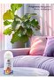 Combo Air Freshener Kit - Voltalia Dispenser + 300ml Refill (EVENT) - 5