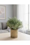 Cobalt Ilı Artificial Mountain Thyme - Decorative Cobalt I Plant with Natural Look - 18X13 cm - 3