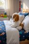 Barking Puppy Plush Toy (25 cm) Blue with Big Eyes - Gift and Sleeping Companion - 2