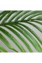 شجر صناعية ARECA ARECA شجرة صناعية - 2
