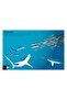555 Sticker Fun - Sharks - 6