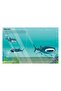 555 Sticker Fun - Sharks - 3