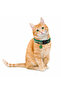 Green Christmas-Themed Adjustable Cat Collar – with Rattles, Safety Buckle (Gift Pattern)