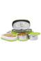 Executive Lunch Box Tiffin Set – 2 Round Steel Containers (280 ml each) & 1 Oval Plastic Container (450 ml), Insulated Bag, Leak-Proof, Easy to Carry, Office Use – Green Green 450ml