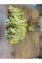 Natural Dried Banana Dried Fruit 200g - 2