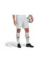 Men's Daily Sports Training Shorts - 5