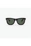WAYFARER REVERSE