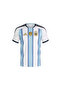 Argentina 26 home jersey men's soccer shirt - blue - 3