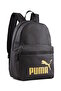 Rucksack Phase Backpack mit Logo-Schriftzug