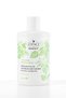 Botanics+ Anti-Oil Care - Herbal Shampoo Containing Nettle and Salicylic Acid - 3