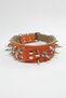 Fancy Dog Guard Collar - 7