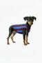 Cat-Dog Fan Jersey Burgundy Blue - Small Breed
