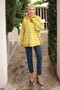 Oil Green Collar Zippered Striped Knitwear Sweater - 4