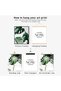 ALAYRA Botanical Leaf Wall Art, Motivational Wall Art Prints Canvas Poster, Prints Unframed Set of 4 Plant Aesthetic for Bedroom Decor20X25 CM - 4