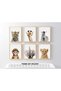 ALAYRA Baby Animal Posters and Prints - ART YMX016 - Baby Nursery Decor Pictures Set of 6 (Unframed) Cute Animal Photography Wall Prints for Baby Boys & Girls Room YMX016 (())20X25 CM - 4