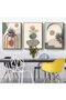 ALAYRA Modern Aesthetic Plant Pictures, Boho Decorative Pictures, Natural Landscape Poster, Abstract Art Deco Poster Set - No Frame (3 Pieces, , Poster-09)40X60 CM - 2