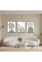 ALAYRA Modern Aesthetic Plant Pictures, With Outer Frame, Set of 3 Boho Decorative Pictures for Home Decor - 2