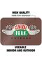 ALAYRA FRIENDS - CENTRAL PERK BRICK (MAXI POSTERS)91.5X61 CM - 3