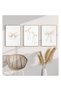 ALAYRA Preppy Bow Wall Art Decor Set of 3 Beige Coquette Wall Art Aesthetic Canvas Posters Trendy Girly Wall Decor Beige Bow Prints Preppy Pictures for Living Room College30X40 CM - 3