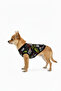 Cat-Dog Guitar Patterned Outfit - Small Breed - 2