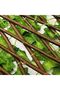 Bamboo Fence With Industrial Vegetables Green - 3