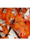 Bamboo Wooden Fence with Artificial Orange Maple Leaves - Expandable Wicker for Home G - 5