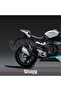 Cfmoto 450Sr 40 Sticker Side Plastic Sticker Decal High Quality Foil - 3