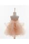 2-6 Years Old Baby Girl Children's Flower Detailed Tulle Evening Dress - 5