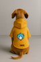 Printed Dog and Cat Clothing & Dress with Fleece Inside - Yellow Color K Hooded Hoodie B07A6 - 2