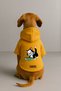 Printed Dog and Cat Clothing & Dress with Fleece Inside - Yellow Color K Hooded Hoodie B9F16 - 2