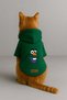 Printed Dog and Cat Clothing & Dress with Fleece Inside - Green Color K Hooded Hoodie B5Bb6 - 3