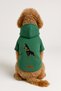 Printed Dog and Cat Clothing & Dress with Fleece Inside - Green Color K Hooded Hoodie B2Ac0 - 2