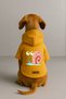 Printed Dog and Cat Clothing & Dress with Fleece Inside - Yellow Color K Hooded Hoodie B6C1B - 2
