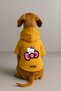 Printed Dog and Cat Clothing & Dress with Fleece Inside - Yellow Color K Hooded Hoodie Ba714 - 2