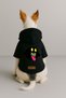 Printed Dog and Cat Clothing & Dress with Fleece Inside - Black Color K Hooded Hoodie Bc3E5 - 2