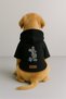 Printed Dog and Cat Clothing & Dress with Fleece Inside - Black Color K Hooded Hoodie Bd84B