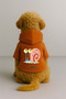 Printed Dog and Cat Clothing & Dress with Fleece Inside - Orange Color K Hooded Hoodie B6C1B