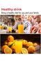 Double Electric Citrus Juicer — Slow Masticating Wide-Mouth Juicer for Grapefruit, Lime, Orange, L - 6